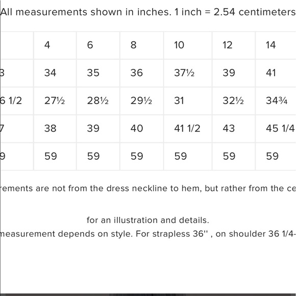 NWT SIZE 4 SYLVEE OLEG CASSINI SAGE GOWN - Picture 4 of 9